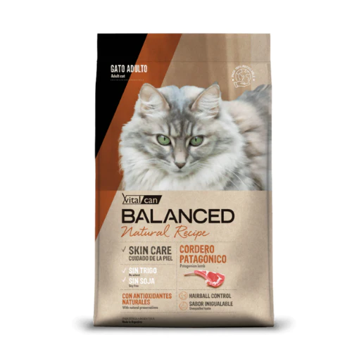 Balancedcordero2